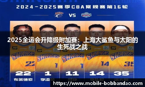 BOB半岛体育官方网站